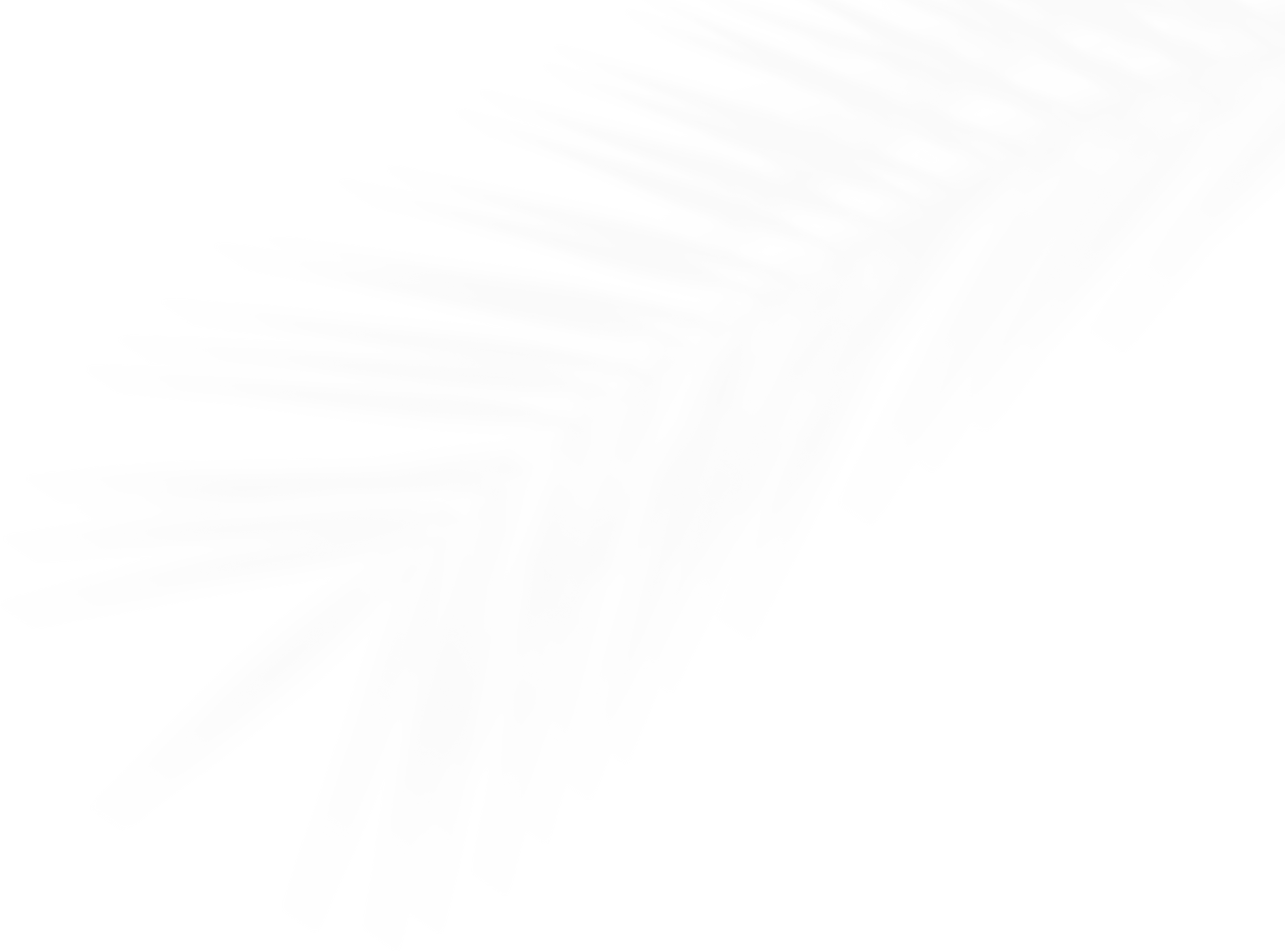 Summer Leaves Shadow